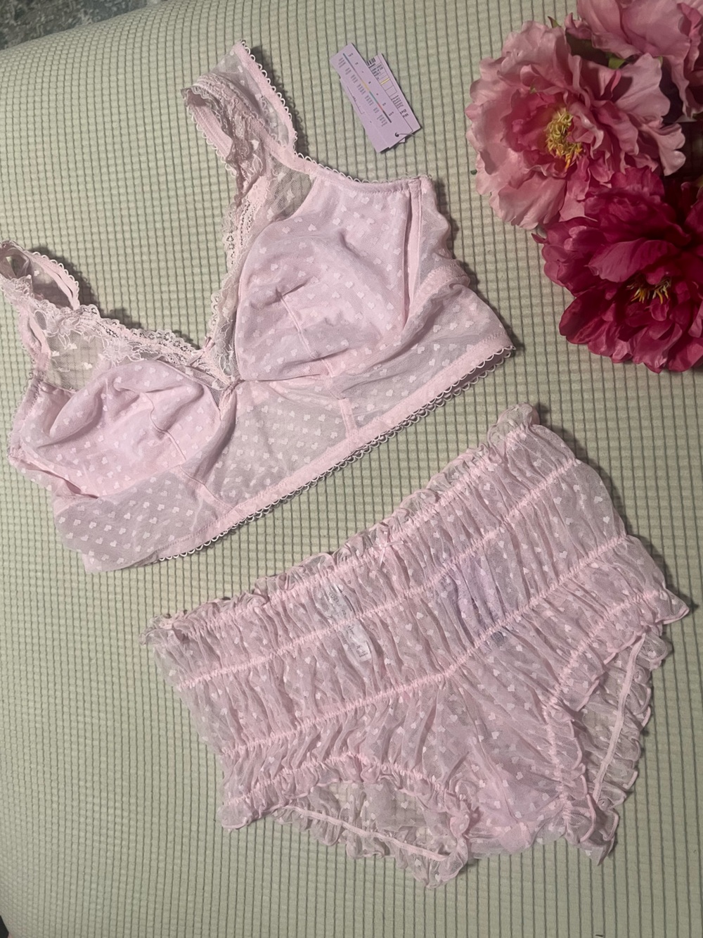 Wild fable underwear